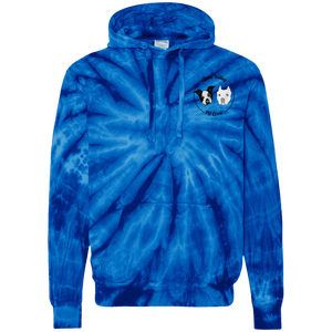 AVPC Logo Tie-Dyed Pullover Hoodie